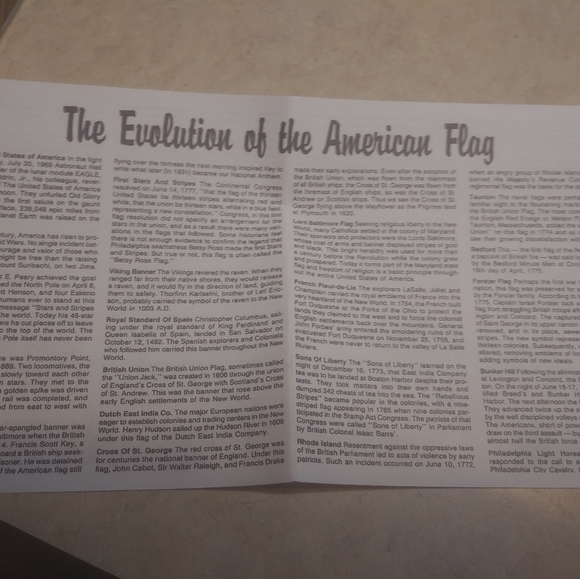 ♡3 for $20 - 550 piece Jigsaw Puzzle and Tin - American Flag - Picture 5 of 11